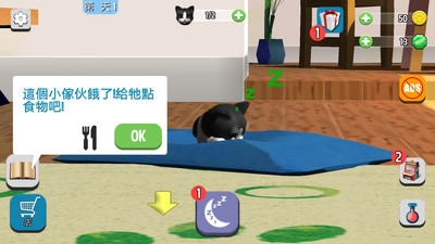 我的收养猫咪ios版
