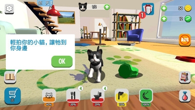 我的收养猫咪ios版
