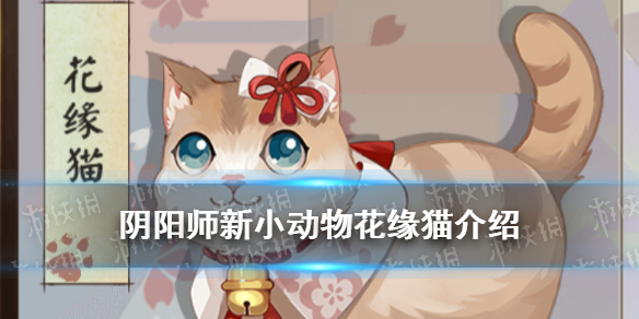 超能街机1