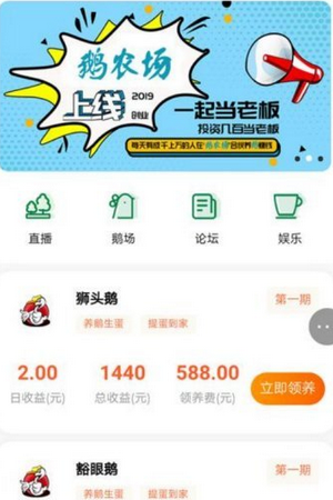 阳光鹅场红包版