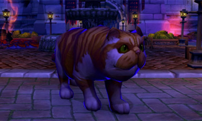 《魔兽世界》宠物虚痕猫获取攻略