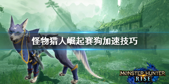 《怪物猎人崛起》赛狗怎么加速 赛狗加速技巧