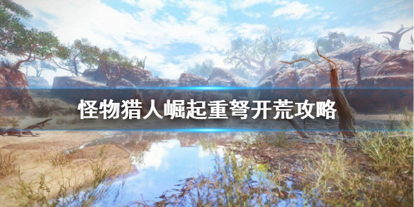 《怪物猎人崛起》重弩怎么配装？重弩开荒攻略