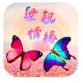 梁祝情缘bt版