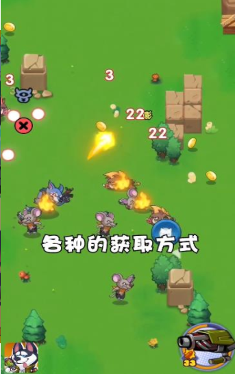 丛林小队