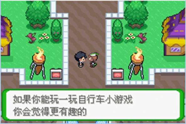 口袋妖怪空之花神最终版