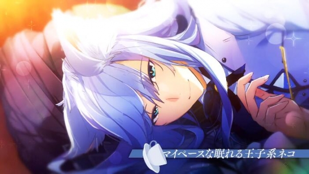 猫郎乐园手机版安卓版