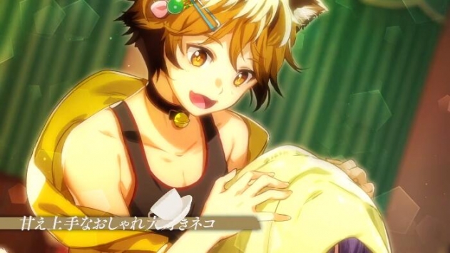 猫郎乐园手机版安卓版