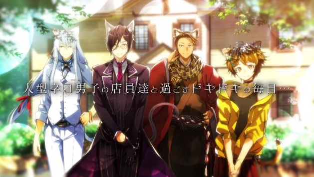 猫郎乐园手机版安卓版