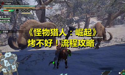 《怪物猎人：崛起》烤不好！流程攻略