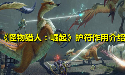 《怪物猎人：崛起》护符作用介绍