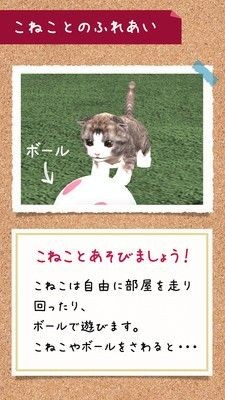 糖果铃铃猫