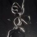 scp3560汽笛人