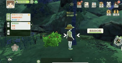 《小森生活》香脂砂白树位置一览