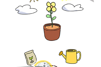 6.png