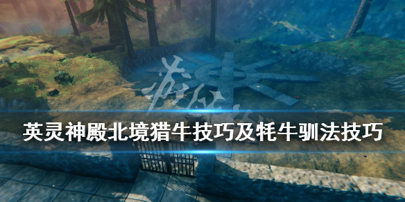 《Valheim英灵神殿》北境猎牛技巧及牦牛驯法技巧 怎么驯服
