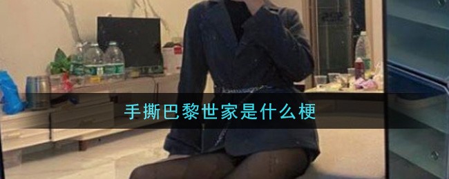 手撕巴黎世家是什么梗