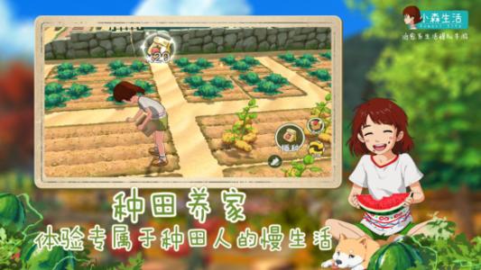 《小森生活》火狐王捕捉攻略