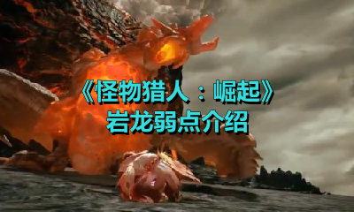 《怪物猎人：崛起》岩龙弱点介绍