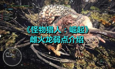 《怪物猎人：崛起》雌火龙弱点介绍