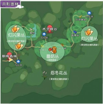 《小森生活》月影密林资源分布