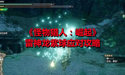 《怪物猎人：崛起》雷神龙紫球应对攻略