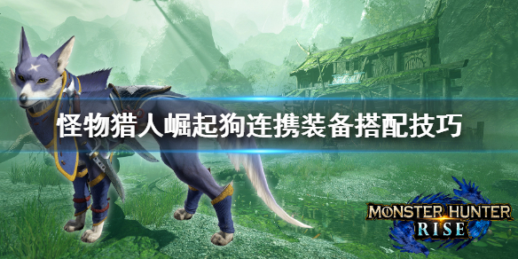 《怪物猎人崛起》狗连携怎么搭配 狗连携装备搭配技巧