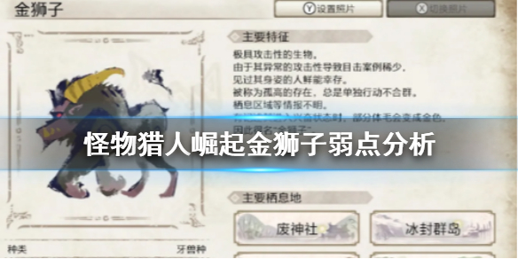 《怪物猎人崛起》金狮子好打吗 金狮子弱点分析