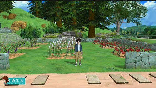 《小森生活》加移速攻略