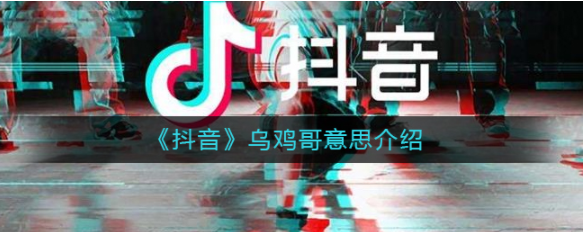 抖音乌鸡哥是什么梗