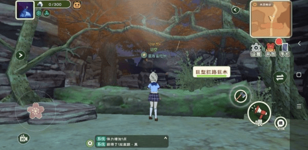 《小森生活》木灵峡谷资源