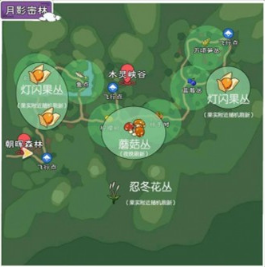 《小森生活》蘑菇位置一览