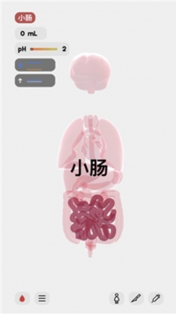 life生命模拟器bt版