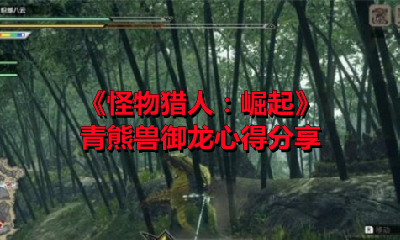 《怪物猎人：崛起》青熊兽御龙心得分享