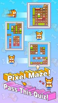 Corgi Rush