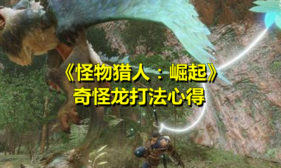 《怪物猎人：崛起》奇怪龙打法心得