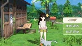 《小森生活》可以领养几只猫
