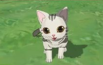 《小森生活》猫咪种类汇总