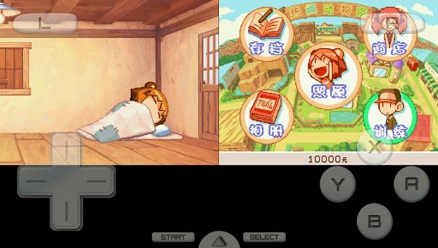 熊姬和她的伙伴们免费版