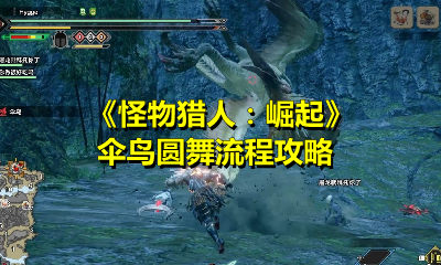 《怪物猎人：崛起》伞鸟圆舞流程攻略