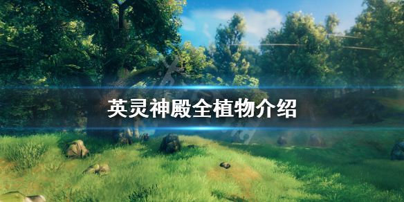 《Valheim英灵神殿》植物有哪些 游戏全植物介绍