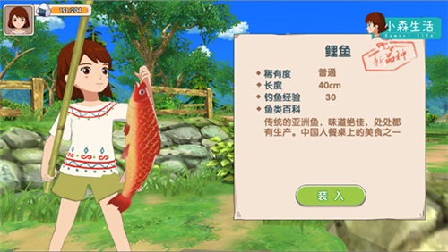 《小森生活》熊本熊合影任务攻略