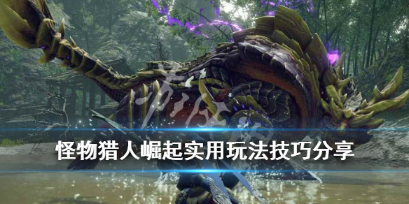 《怪物猎人崛起》实用玩法技巧分享 随从猫技能选什么？