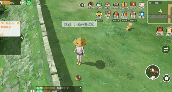 《小森生活》猫咪怎么放在家