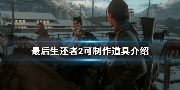 《美国末日2》可制作道具有哪些 可制作道具介绍