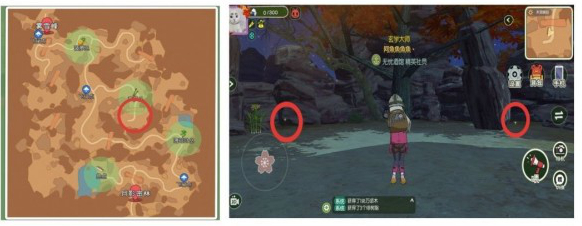 小森生活各稀有昆虫分布在哪里