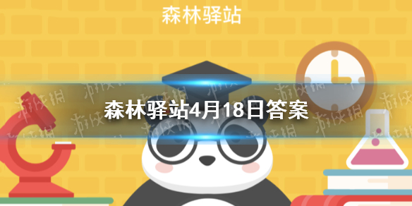 最大的哺乳动物是什么 森林驿站2021年4月18日答案