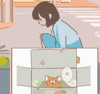 《遇见你的猫》爱心获取攻略