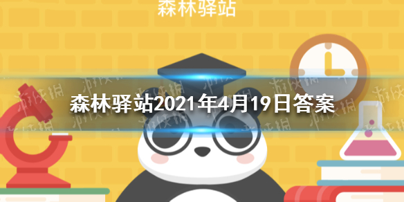 超能街机1
