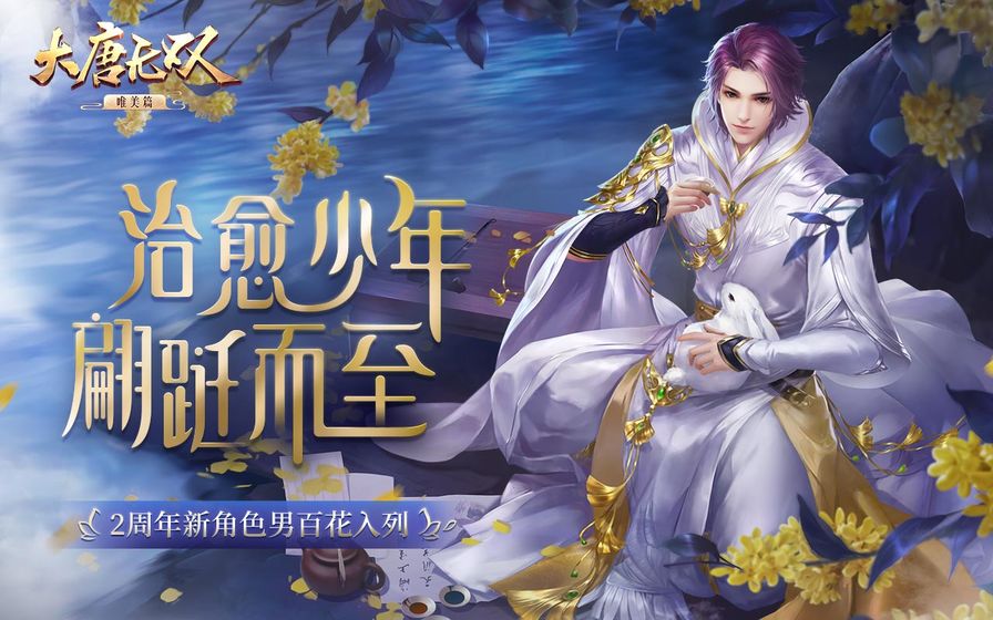 大唐无双私服安卓版